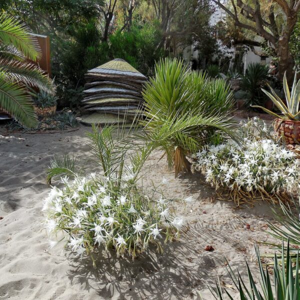 Bodrum Camal beach