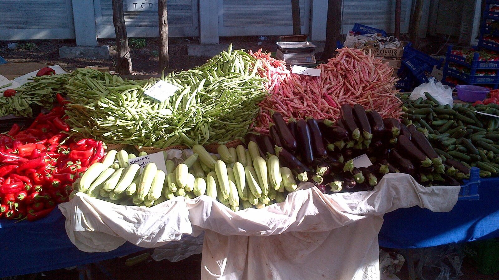 Green and red beans, eggplants, courgettes and red peppers at the Göztepe Pazarı, in Kadıköy, Istanbul